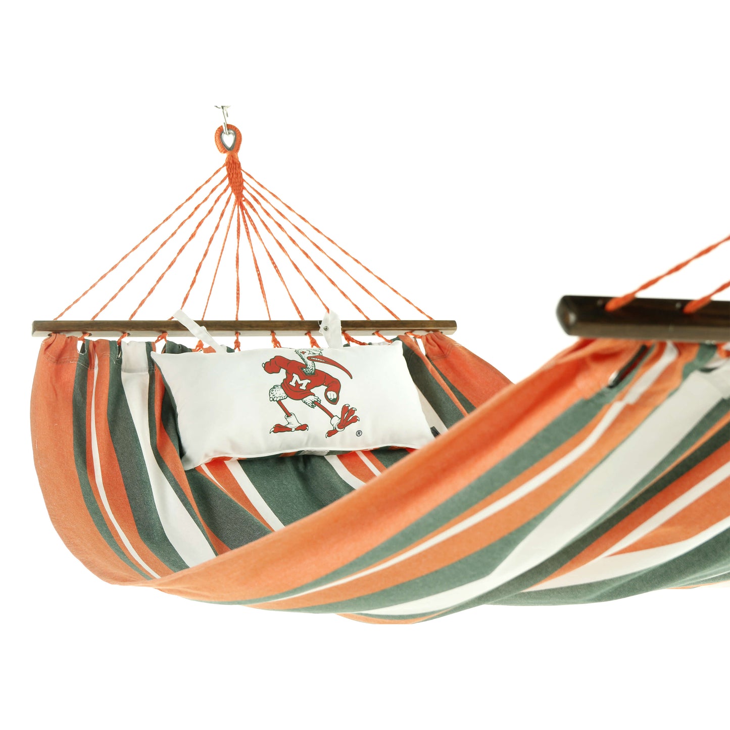 University of Miami Hurricanes Hammock | IBIS