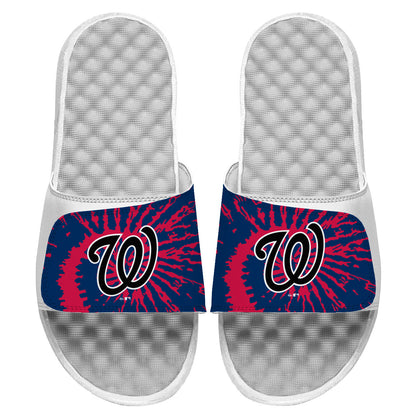 Washington Nationals Slides