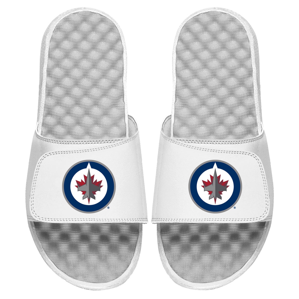 Winnipeg Jets Primary Slides