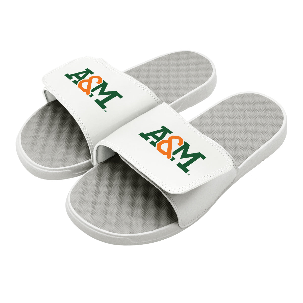 FAMU A&M Wordmark Slides