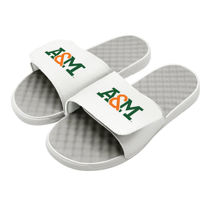 FAMU A&M Wordmark Slides