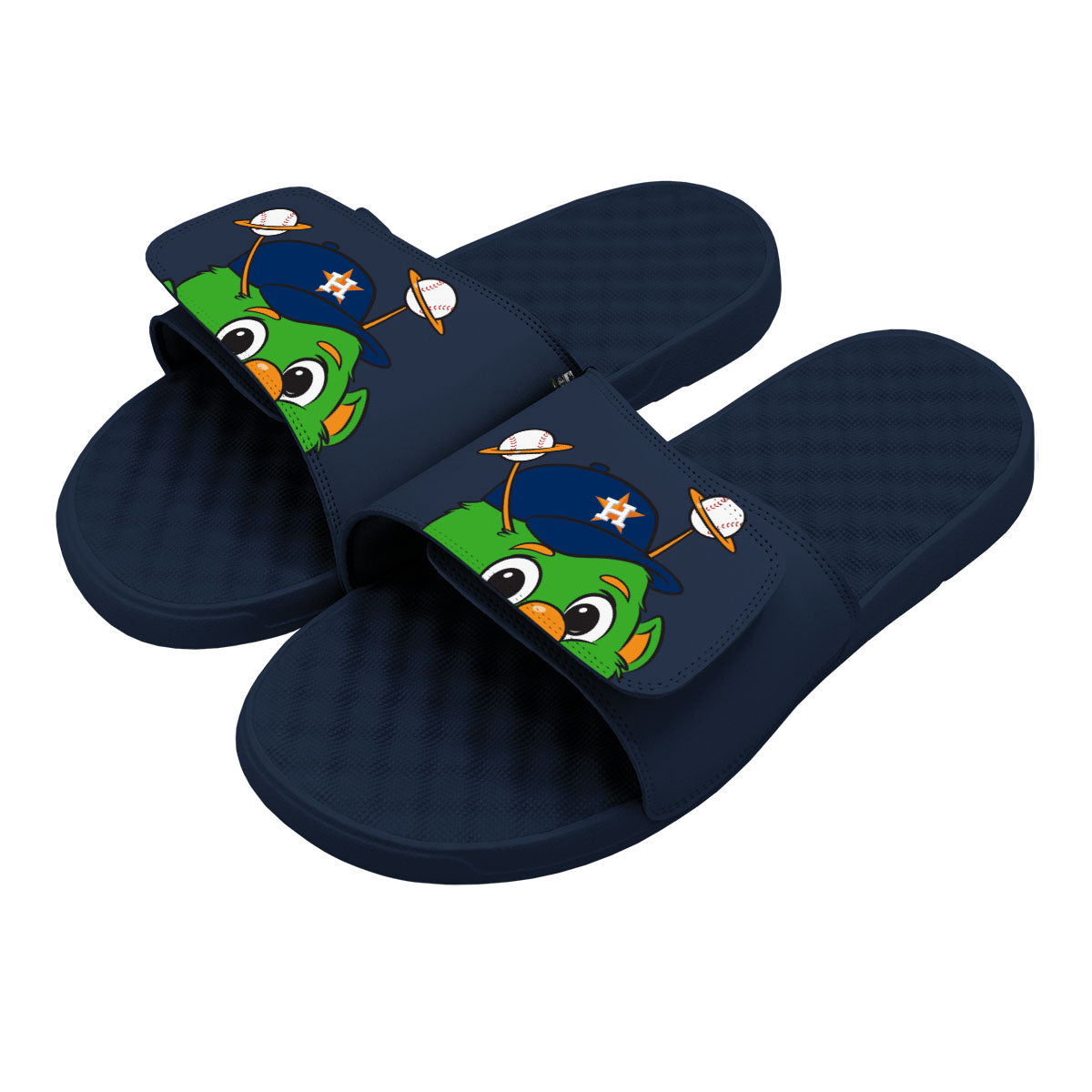 Houston Astros Mascot Slides