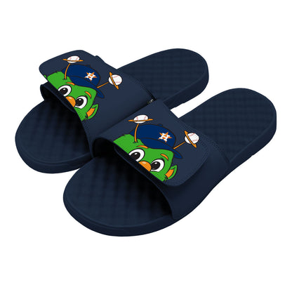 Houston Astros Mascot Slides