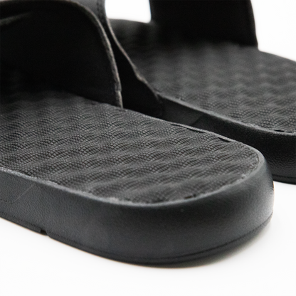 Bruins Year of the Snake