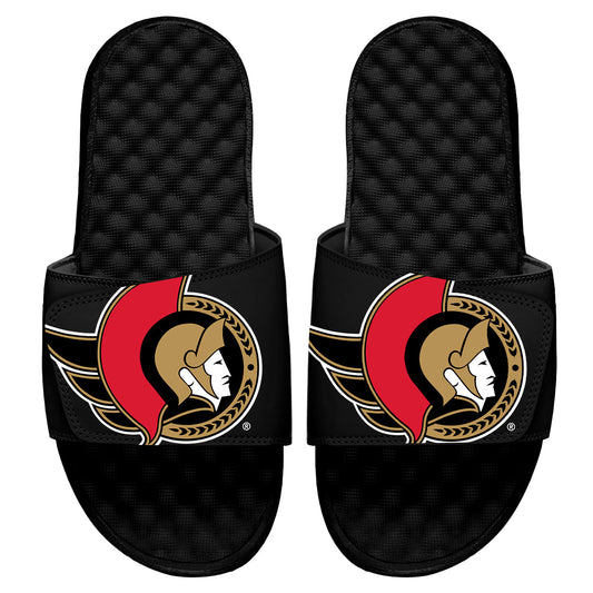 Ottawa Senators Blown Up Slides