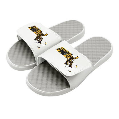 Boston Bruins Map Slides