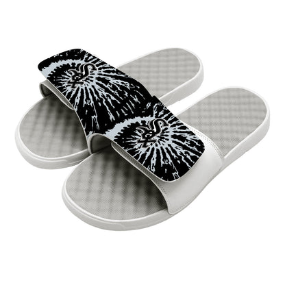 Chicago White Sox Slides