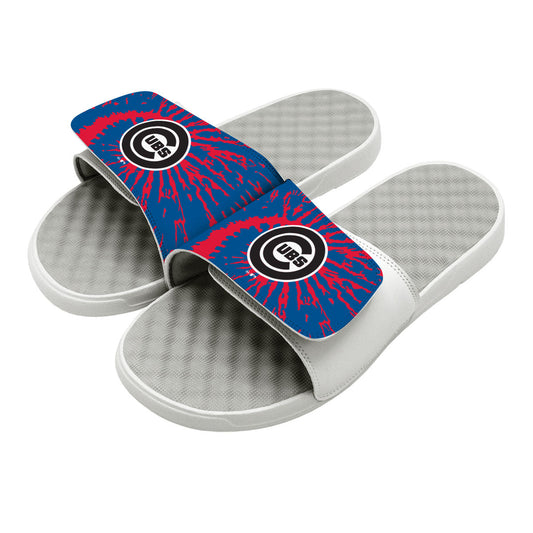Chicago Cubs Slides