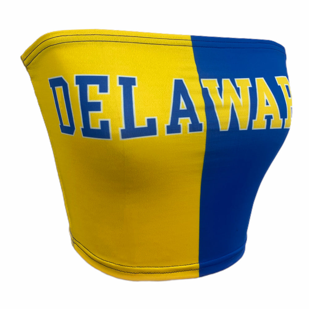 Delaware Two Tone Tube Top