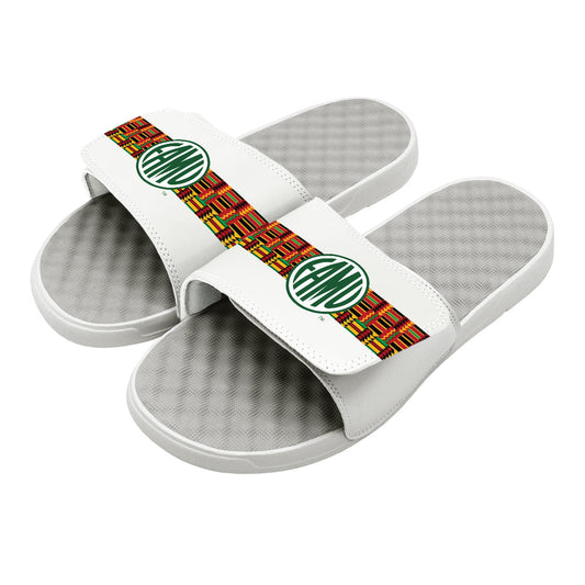 FAMU Circle Logo Stripes Slides