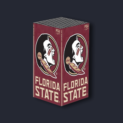 FSU Seminoles Edition Xbox VarsityWrapz