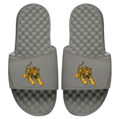 Tuskegee Tiger Slides