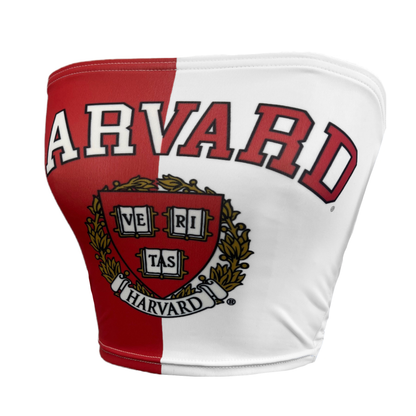 Harvard University Two Tone Tube Top
