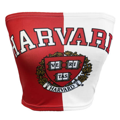 Harvard University Two Tone Tube Top