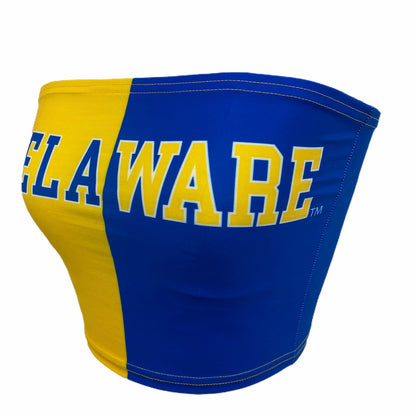 Delaware Two Tone Tube Top