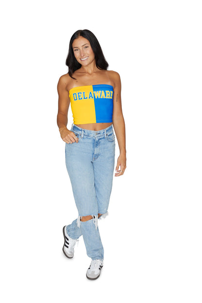 Delaware Two Tone Tube Top