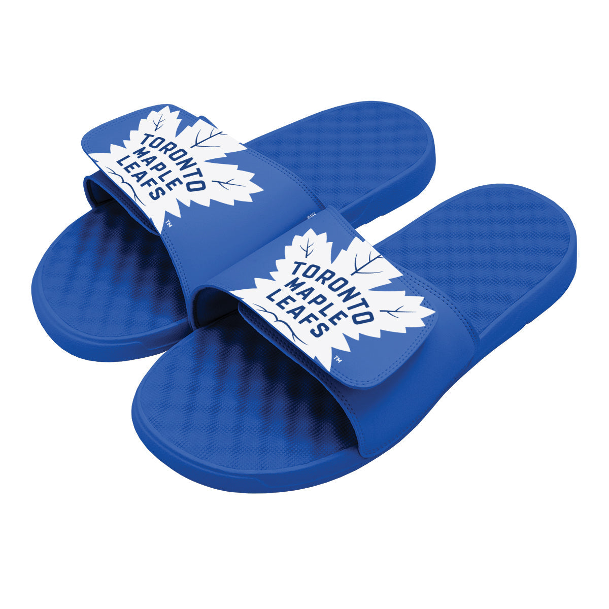 Toronto Maple Leafs Blown Up Slides
