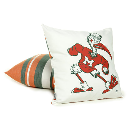 University of Miami Hurricanes Hanging Chair Swing | IBIS