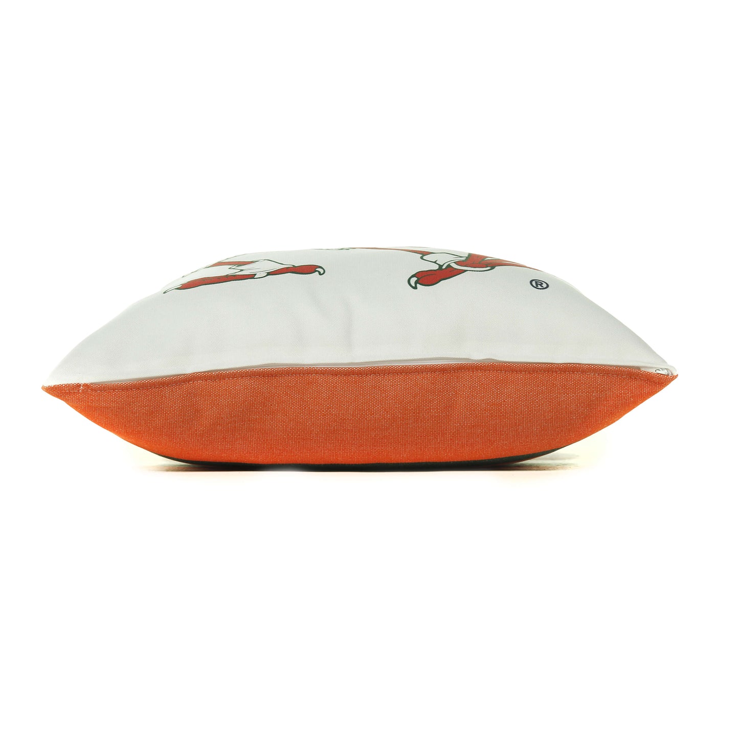 University of Miami Hurricanes Mascot Throw Pillow Cover