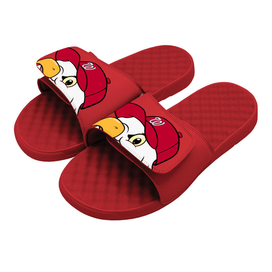 Washington Nationals Mascot Slides