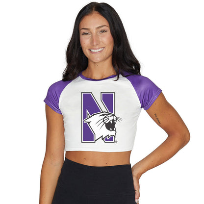 Northwestern Wildcats Team Tee