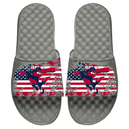 Baltimore Orioles American Flag Slides