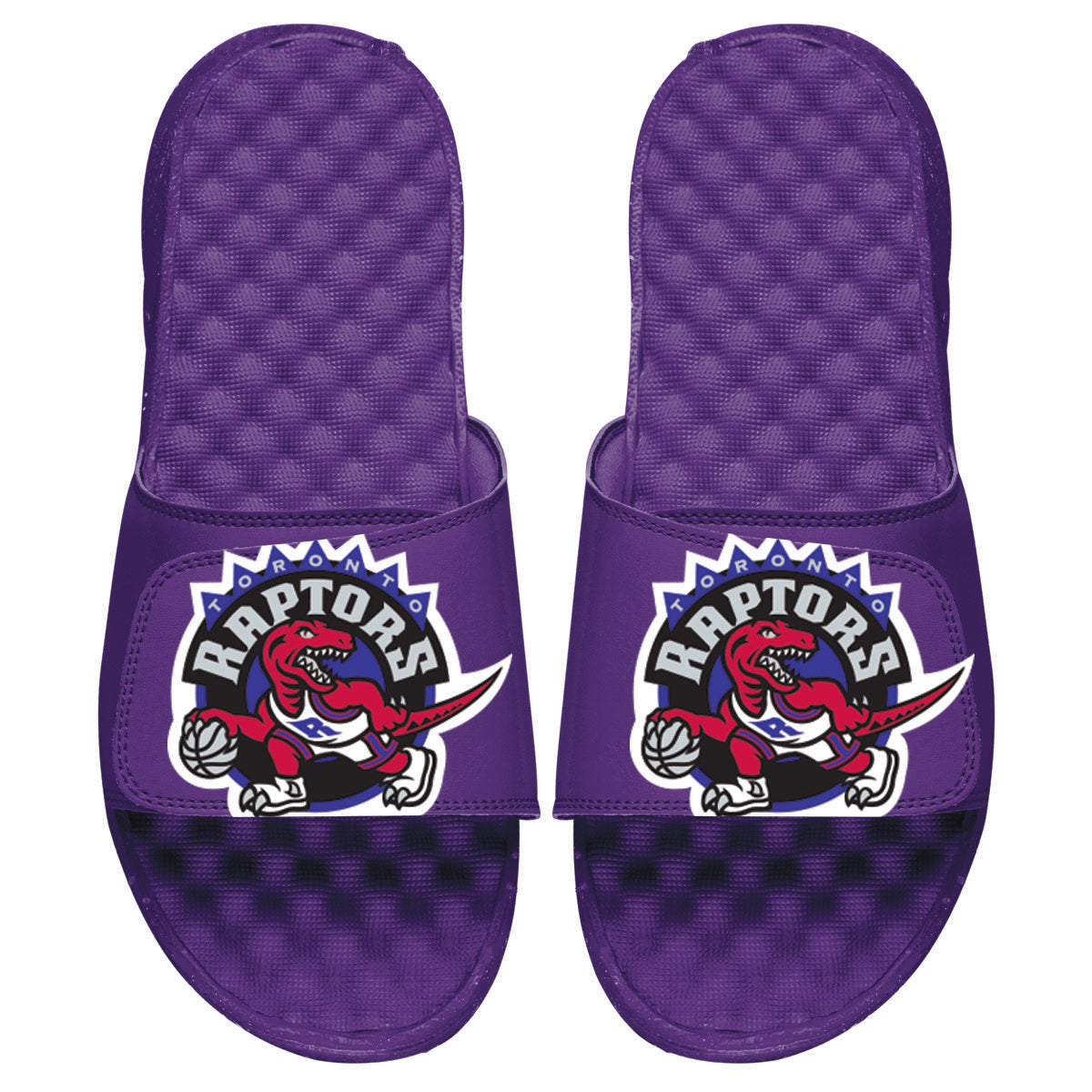 Raptors HWC Big Primary Slides