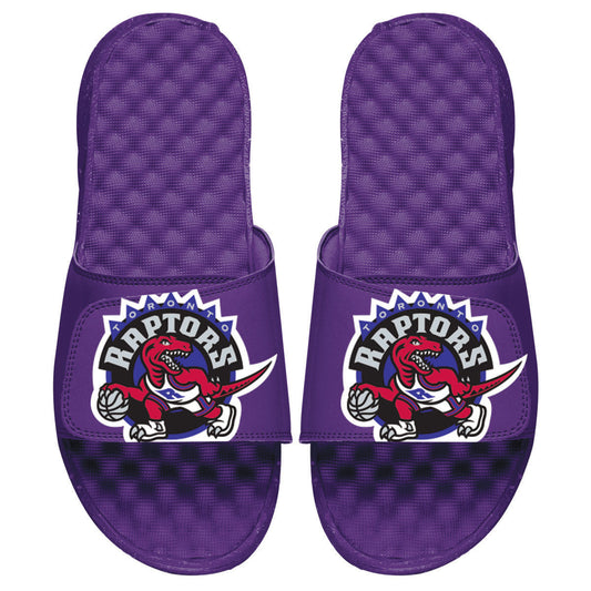 Raptors HWC Big Primary Slides