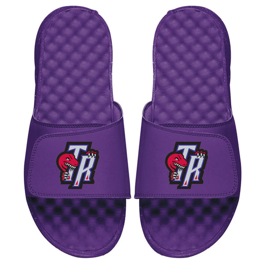 Raptors HWC Secondary Logo Slides