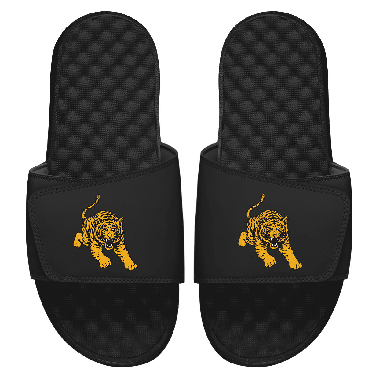 Tuskegee Tiger Slides
