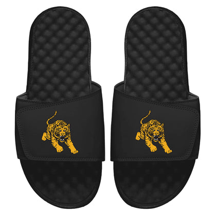 Tuskegee Tiger Slides