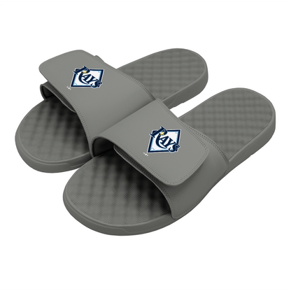 Tampa Bay Rays Alternative Slides
