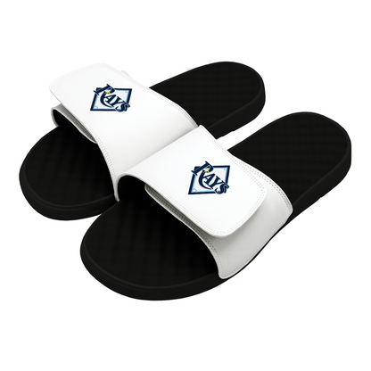 Tampa Bay Rays Alternative Slides