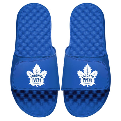 Toronto Maple Leafs Primary Slides