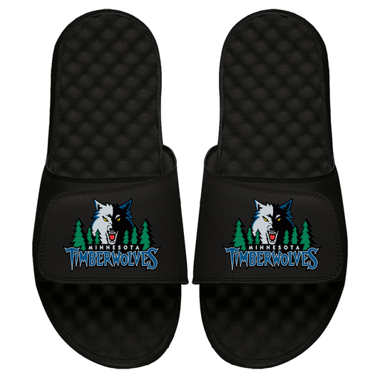 Minnesota Timberwolves HWC Primary Slides
