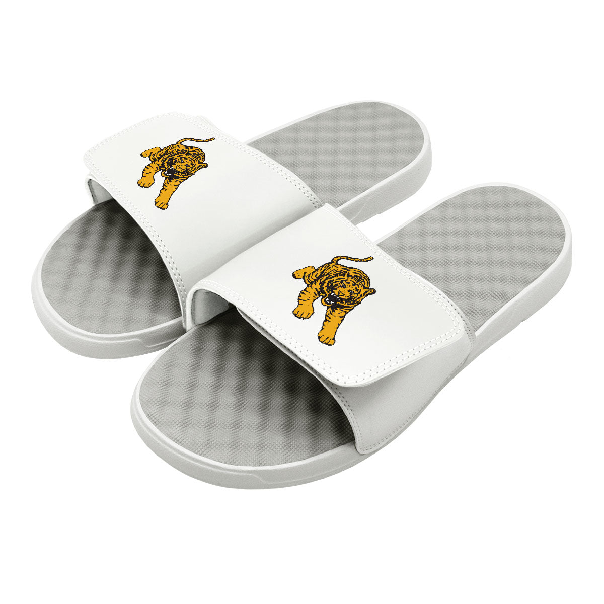 Tuskegee Tiger Slides