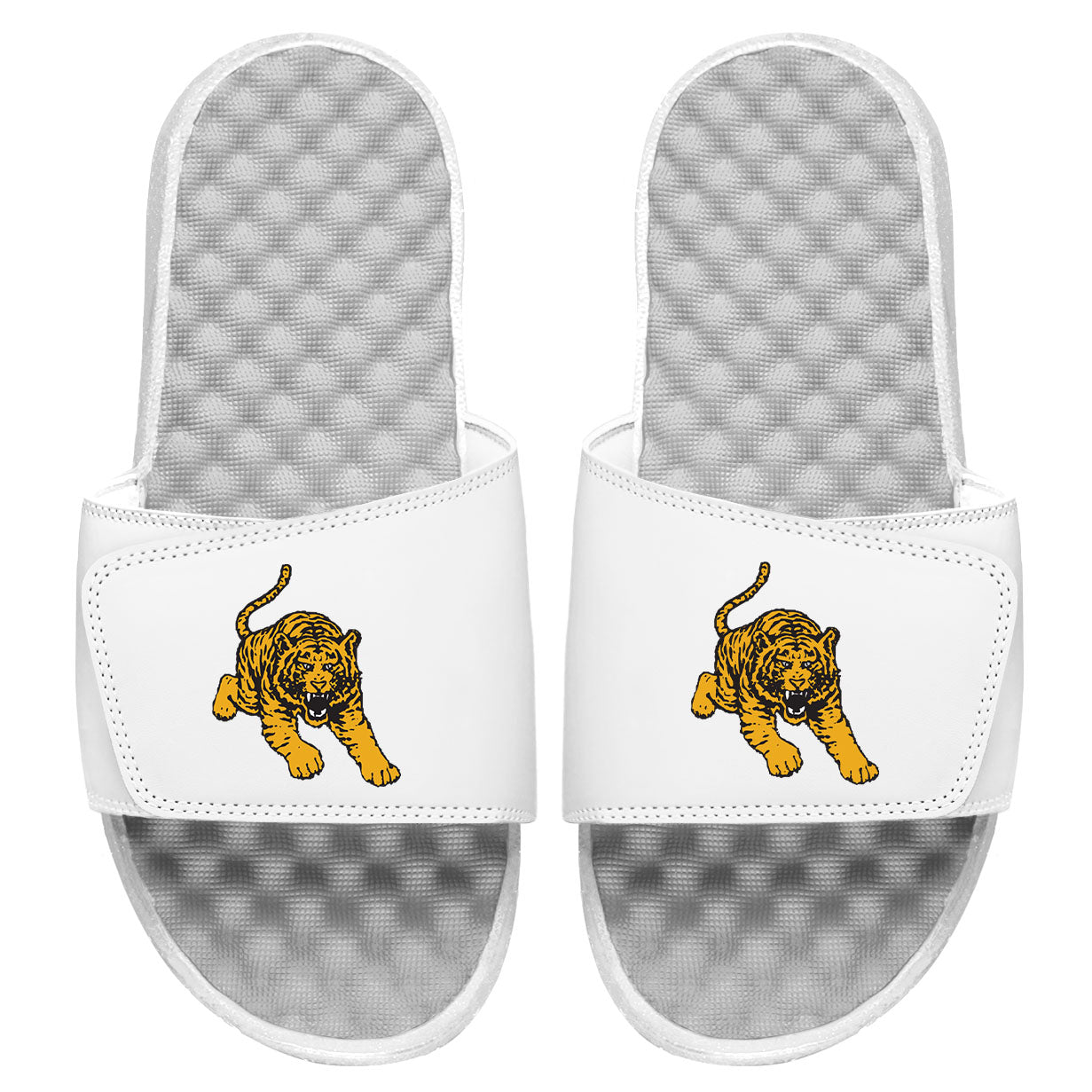 Tuskegee Tiger Slides